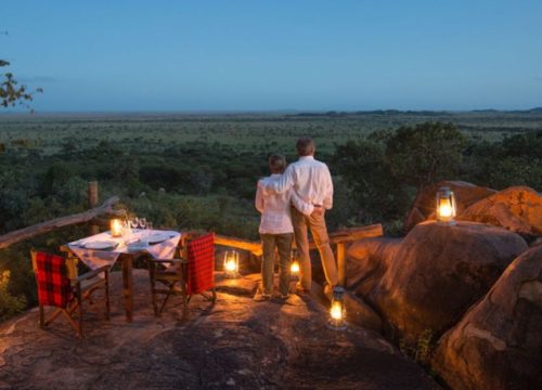 Pourquoi la Tanzanie est-elle la destination idéale pour un safari de lune de miel pour les couples ?