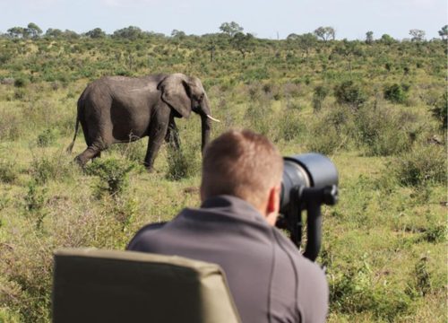 Découvrez les meilleurs endroits pour un safari photo en Tanzanie