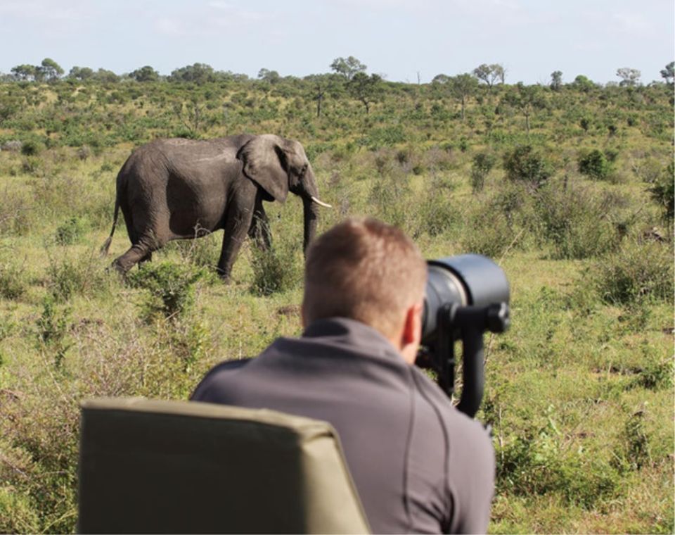 Découvrez les meilleurs endroits pour un safari photo en Tanzanie