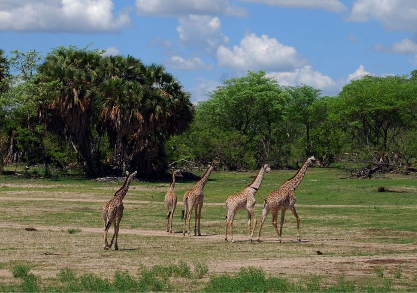 7 Days Maximum Wilderness Experience