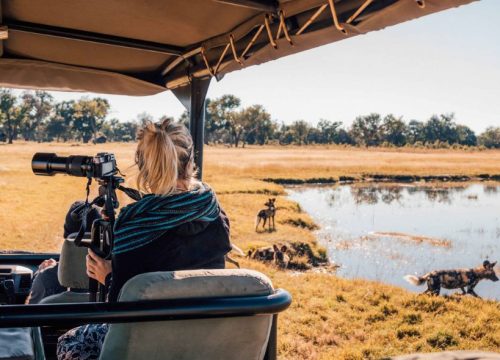 13 Days Tanzania Photographic Safari