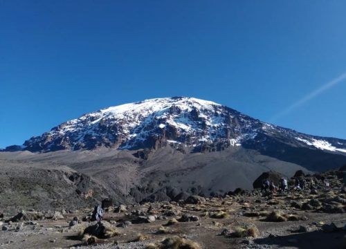 9 Days Lemosho Crater Route