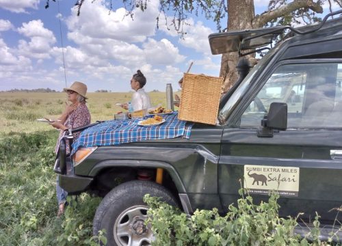 21 Days Best Of Tanzania Safari