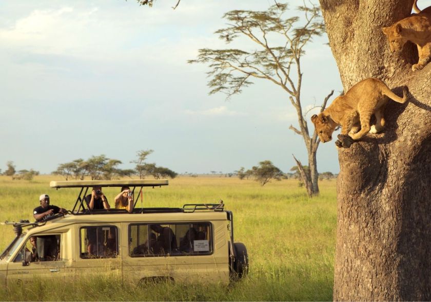 16 Days – Across Northern Circuits Safaris