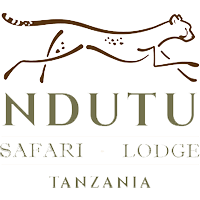 ndutu-safari-lodges