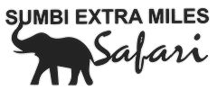 Sumbi Extra Miles Safari : des aventures uniques avec la faune