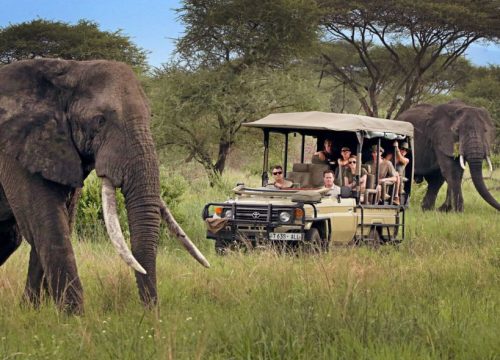 6 Days Tanzania Family Safari