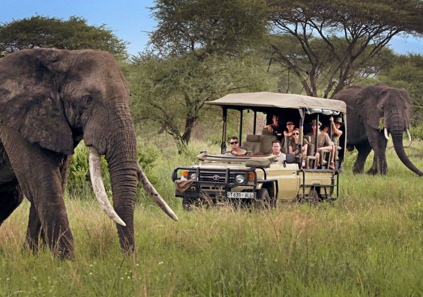 6 Days Tanzania Family Safari