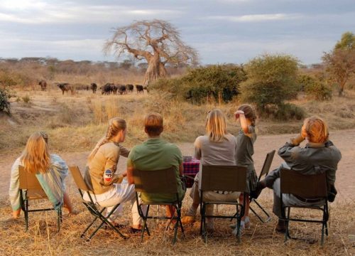9 Days Tanzania Family Safari